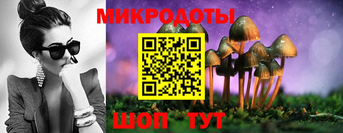 хочу наркоту  Псилоцибиновые грибы Psilocybine cubensis  Вход с VPN  Междуреченск  Псилоцибиновые грибы Magic Shrooms 
